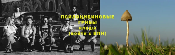 кристаллы Дегтярск
