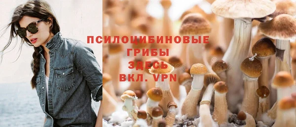 прущие крисы Переславль-Залесский