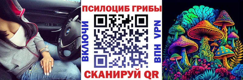 Псилоцибиновые грибы прущие грибы  даркнет сайт  Бодайбо 